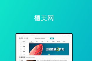 池州网站建设与软件开发服务专家——司瓦图网络