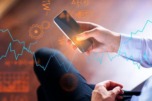 大数据与网站建设 软件开发工程师的广阔前景与融合机遇