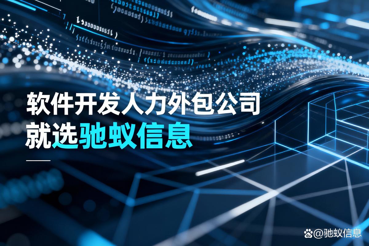 靠谱的软件开发人力外包公司推荐,为啥首选驰蚁信息?